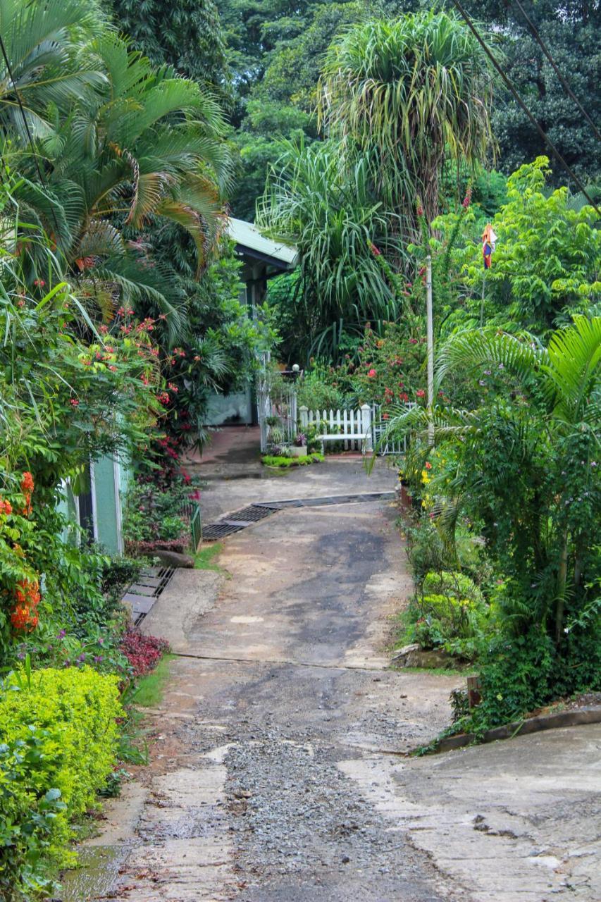 New Nethmi Villa Kandy Eksteriør billede